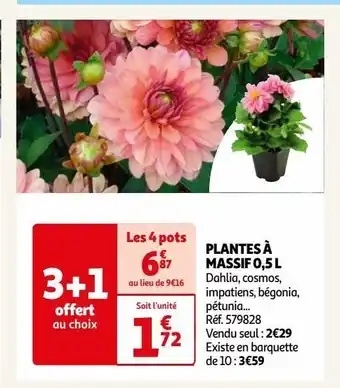 Auchan Plantes à massif 0,5 l offre
