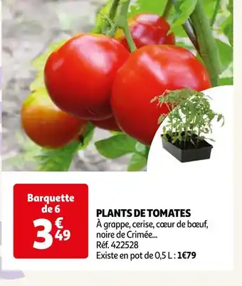 Auchan Plants de tomates offre