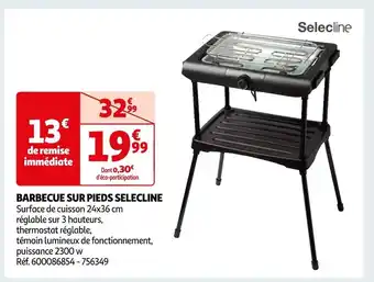 Auchan Selecline barbecue sur pieds offre