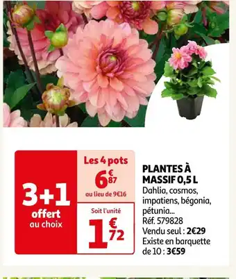 Auchan Plantes à massif 0,5 l offre