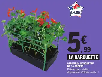 E.Leclerc GERANIUM BARQUETTE DE 10 GODETS offre