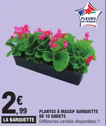 E.Leclerc PLANTES À MASSIF BARQUETTE DE 10 GODETS offre