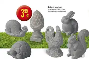 Kandy Animal Au Choix offre