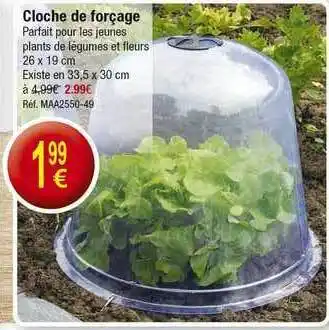 Kandy Cloche De Forçage offre