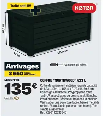 Brico Dépôt COFFRE "NORTHWOOD" 623 L offre