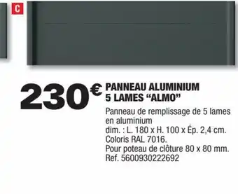 Brico Dépôt PANNEAU ALUMINIUM 5 LAMES "ALMO" offre