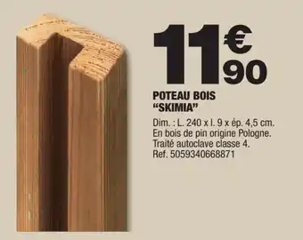 Brico Dépôt POTEAU BOIS "SKIMIA" offre