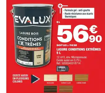 Brico Dépôt EVALUX LASURE CONDITIONS EXTRÊMES 5 L offre