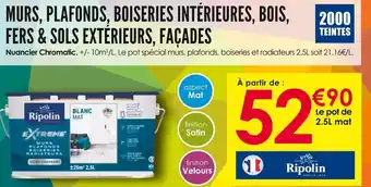 Décor Discount Ripolin murs, plafonds, boiseries intérieures, bois, fers & sols extérieurs, façades offre