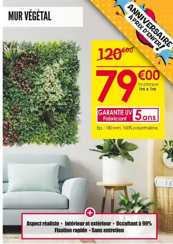 Décor Discount Mur végétal offre