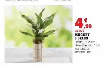 Hyper U Muguet 5 brins offre