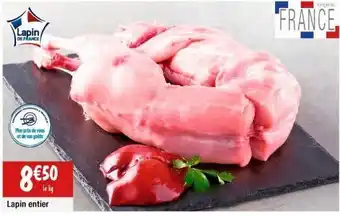 Lapin