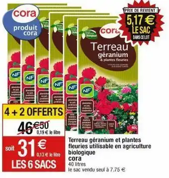 Cora x Carrefour Terreau cora offre