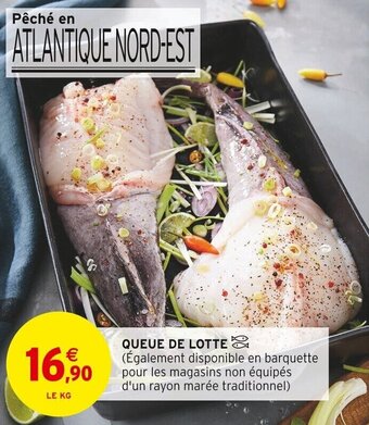 QUEUE DE LOTTE