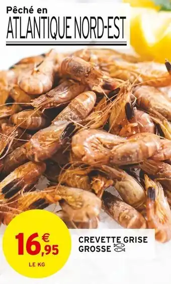 Intermarché CREVETTE GRISE GROSSE offre