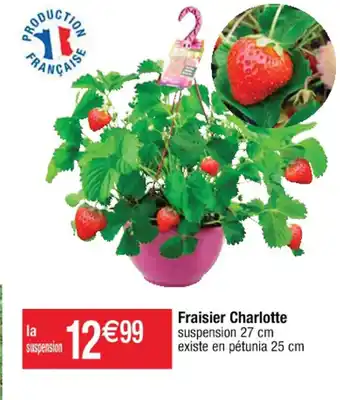 Cora x Carrefour Fraisier Charlotte offre