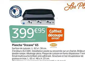 Jardiland Plancha offre