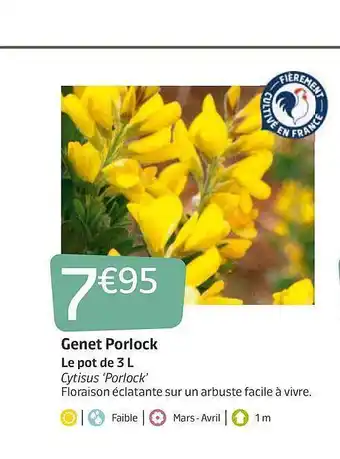 Genet Porlock