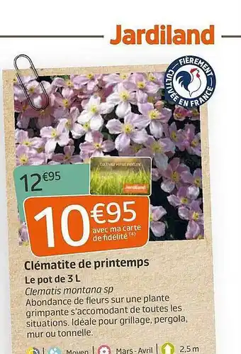 Jardiland Clématite De Printemps offre