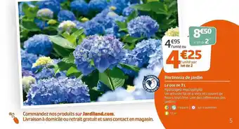 Jardiland Hortensia De Jardin offre