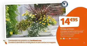 Jardiland Mélange Printanier offre
