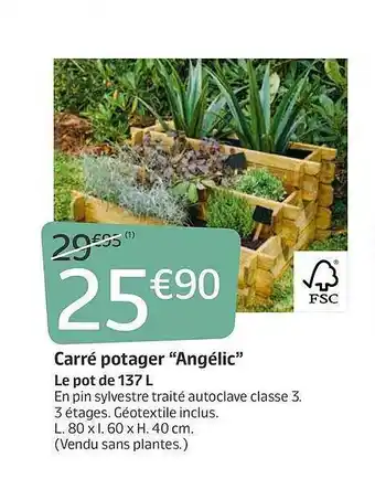 Jardiland Carré Potager offre