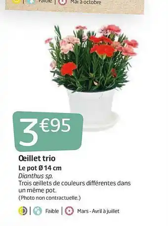 œillet Trio