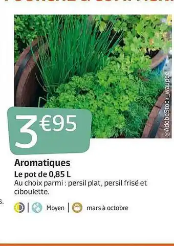 Jardiland Aromatiques offre