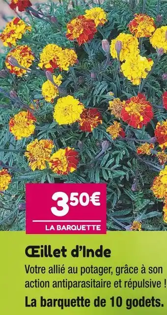 Ćillet dâinde