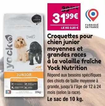 Point Vert Yock croquettes pour chien junior moyennes et grandes races à la volaille fraîche nutrition offre