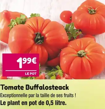 Tomate buffalosteack