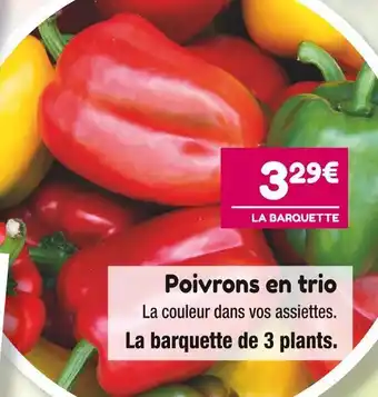 Poivrons en trio