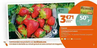 Jardiland Fraisier offre