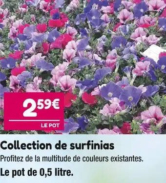 Point Vert Collection de surfinias offre