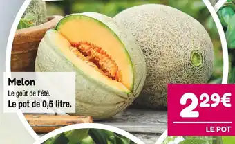 Point Vert Melon offre