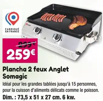 Point Vert Somagic plancha 2 feux anglet offre