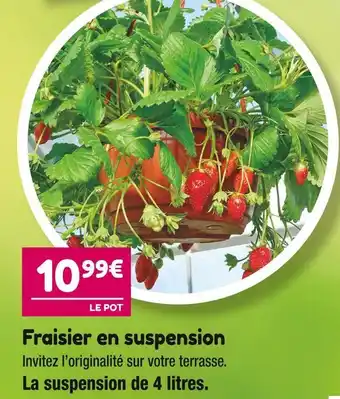 Fraisier en suspension