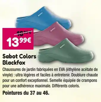 Point Vert Blackfox sabot colors offre