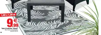 Bazarland Tapis d'extérieur "Hawaï" offre