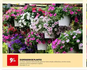 Auchan SUSPENSION DE PLANTES offre