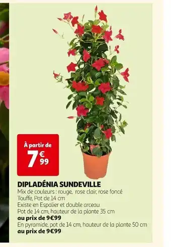 Auchan DIPLADÉNIA SUNDEVILLE offre