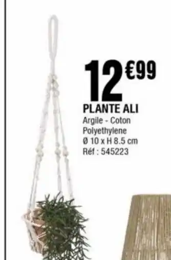 La Foir'Fouille Plantes ali offre