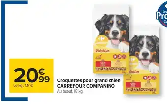 Carrefour Carrefour companino croquettes pour grand chien offre