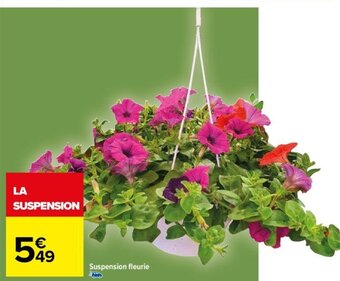 Carrefour Suspension fleurie offre