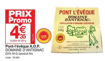 Promocash Pont-l'évêque A.O.P. DOMAINE D'ANTIGNAC 23% M.G./produit fini offre