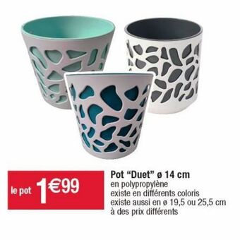 Cora x Carrefour Pot de fleurs offre
