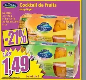 Norma Cocktail De Fruits Sirop Léger River Valley offre