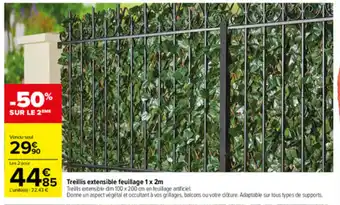 Carrefour Treillis extensible feuillage 1 x 2m offre