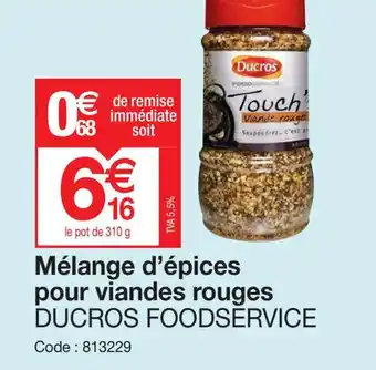 Promocash Mélange d'épices pour viandes rouges DUCROS FOODSERVICE offre
