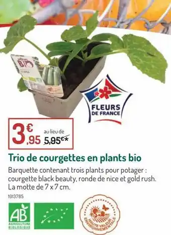 Botanic Trio de courgettes en plants bio offre